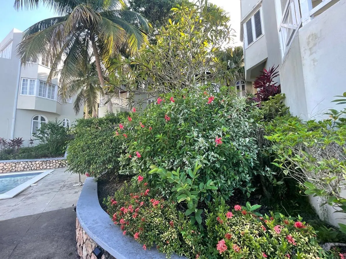 Hummingbird Retreat - Luxury Oceanview Apt, 7-Minute Walk To Beach Ocho Rios
