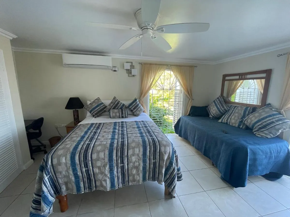 Hummingbird Retreat - Luxury Oceanview Apt, 7-Minute Walk To Beach Ocho Rios Apartment