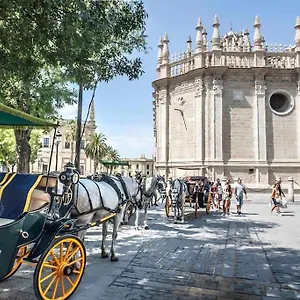 Jimios Center By Valcambre , Seville Spain